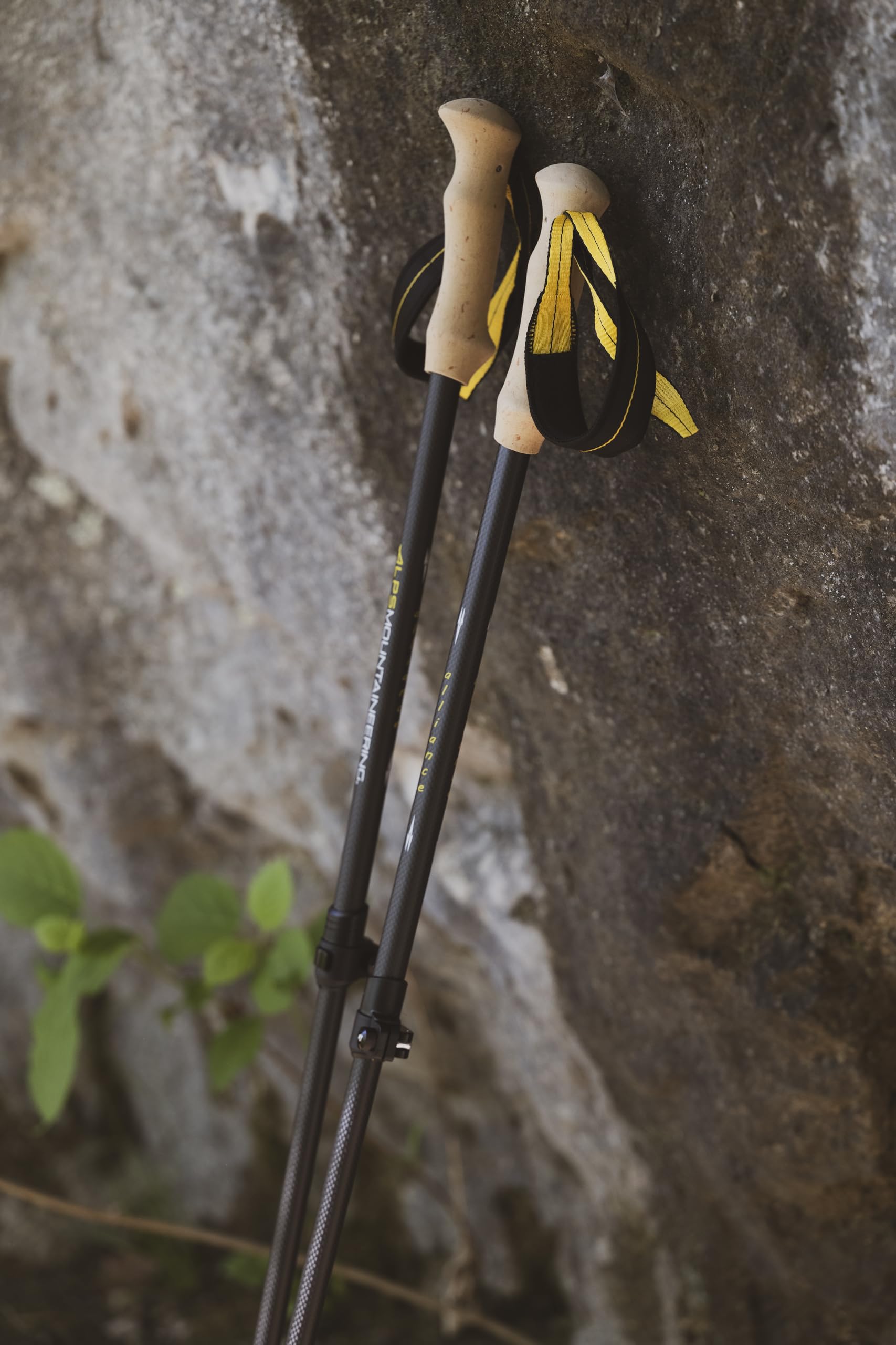 ALPS Mountaineering Alliance Trekking Poles, Set of 2, Black - Image 6