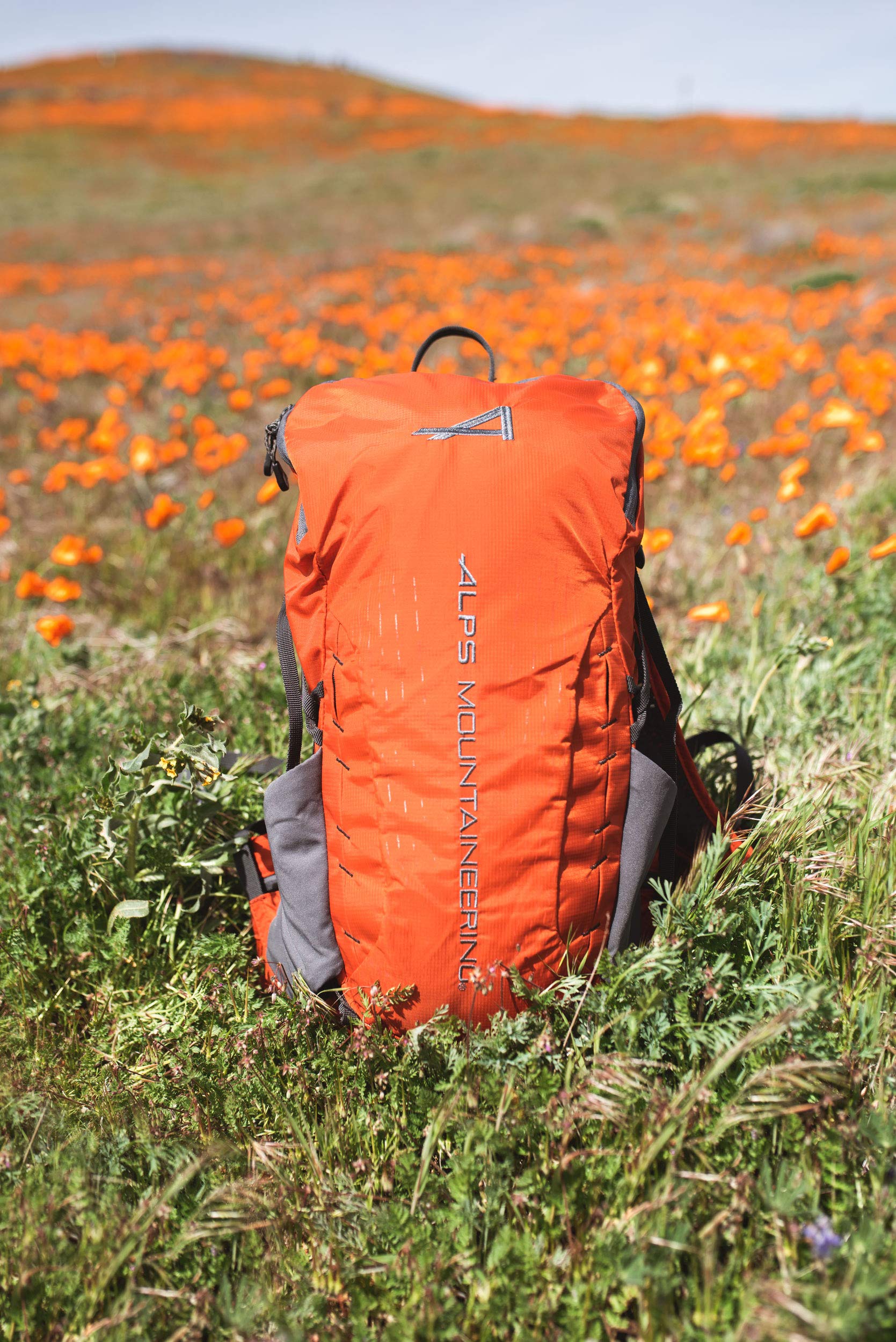 ALPS Mountaineering Canyon 20L Backpack - Chili/Gray - Image 8