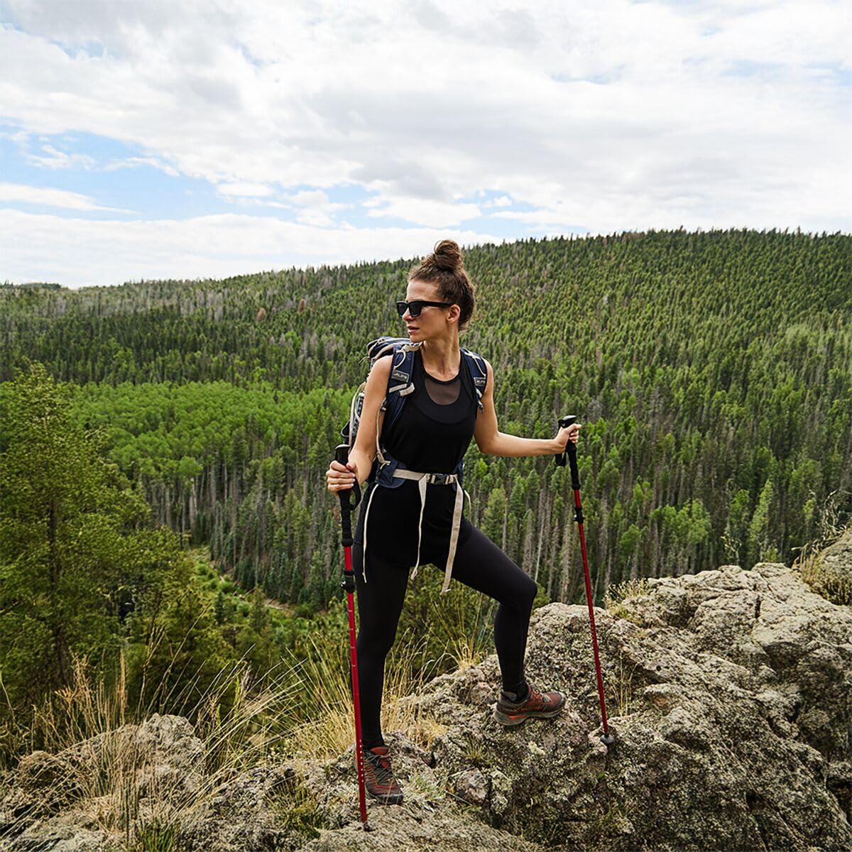 ALPS Mountaineering Trekking Pole - Image 6